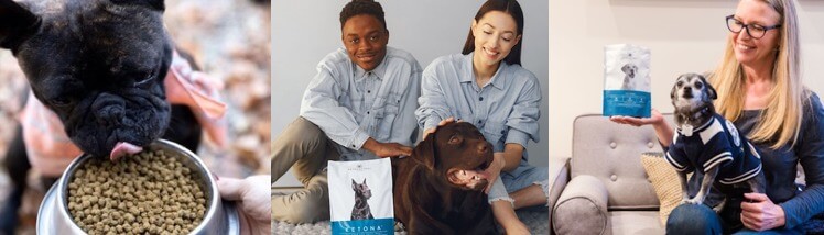 Mobile - strip of Ketona dogs and owners feed their pups kibble